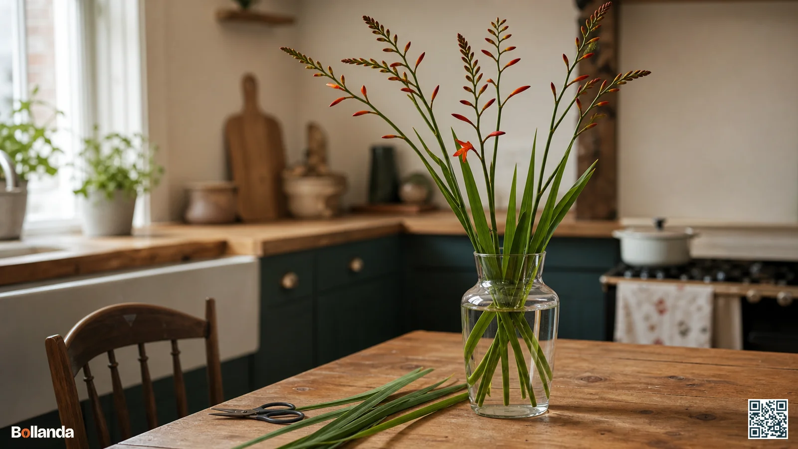 Vaas met crocosmia lucifer bloemen waarvan onderste bloempjes open zijn en rest nog in knop op houten tafel