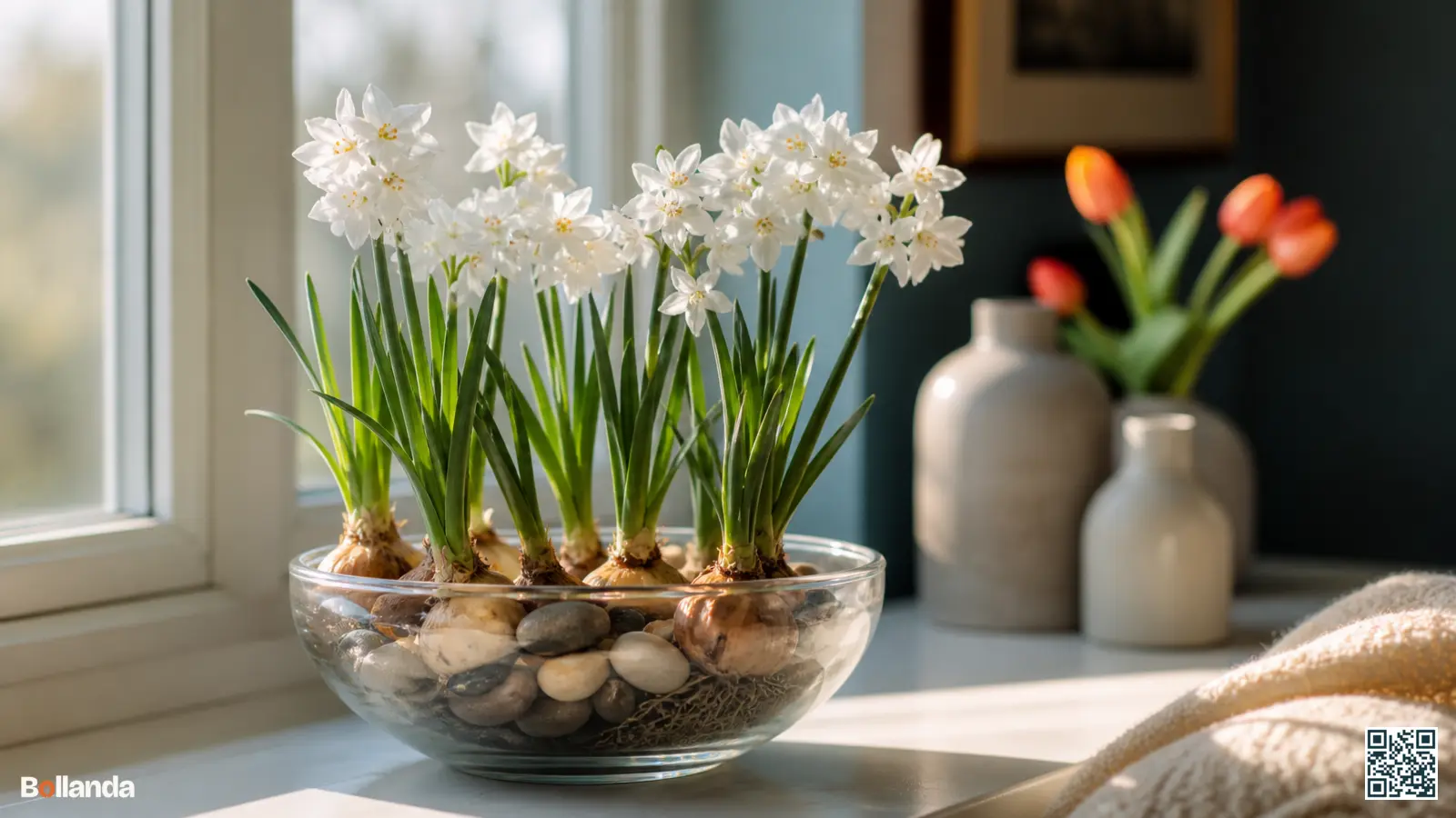 Bloeiende witte Paperwhite-narcissen op kiezelstenen in een glazen schaal bij een lichte vensterbank binnenshuis.