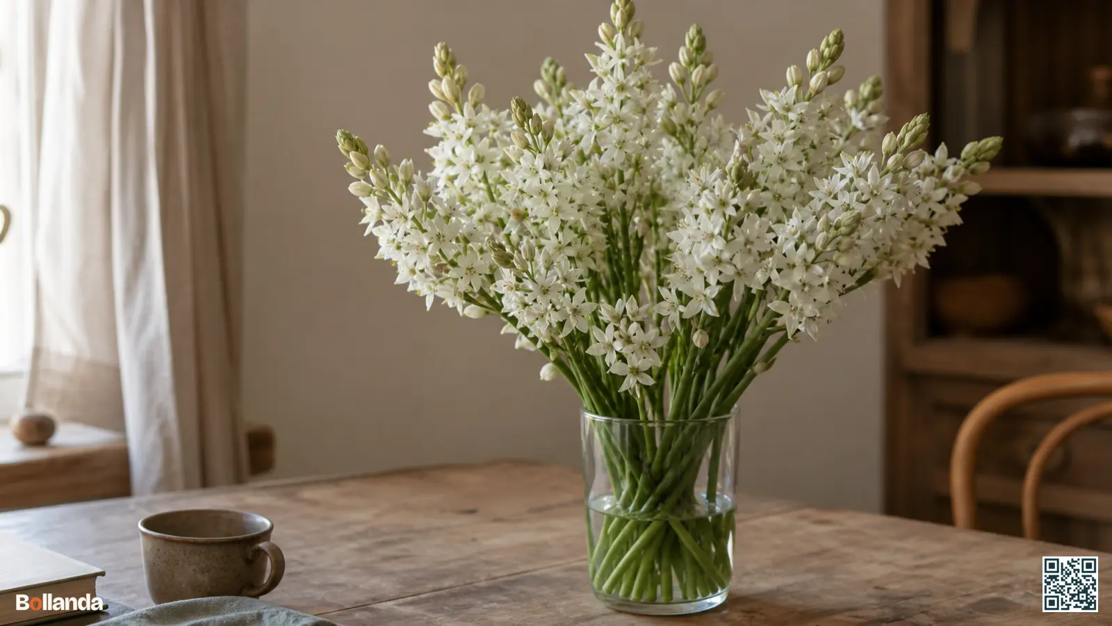 Witte chincherinchee met dichte stervormige bloemaren op lange stelen in een eenvoudige glazen vaas.
