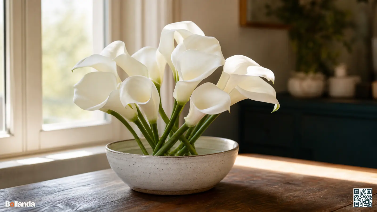 Witte calla's als snijbloem in een lage vaas met ondiep water bij een licht raam.