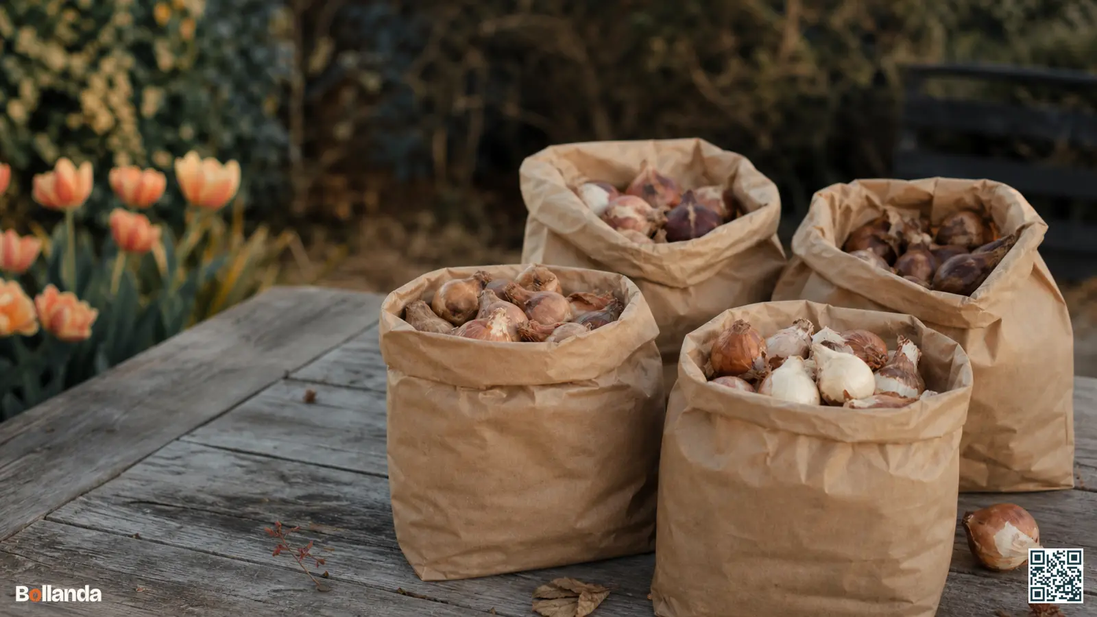 Neutrale papieren zakken met bloembollen op een houten tuintafel in het vroege najaar, klaar om te planten.