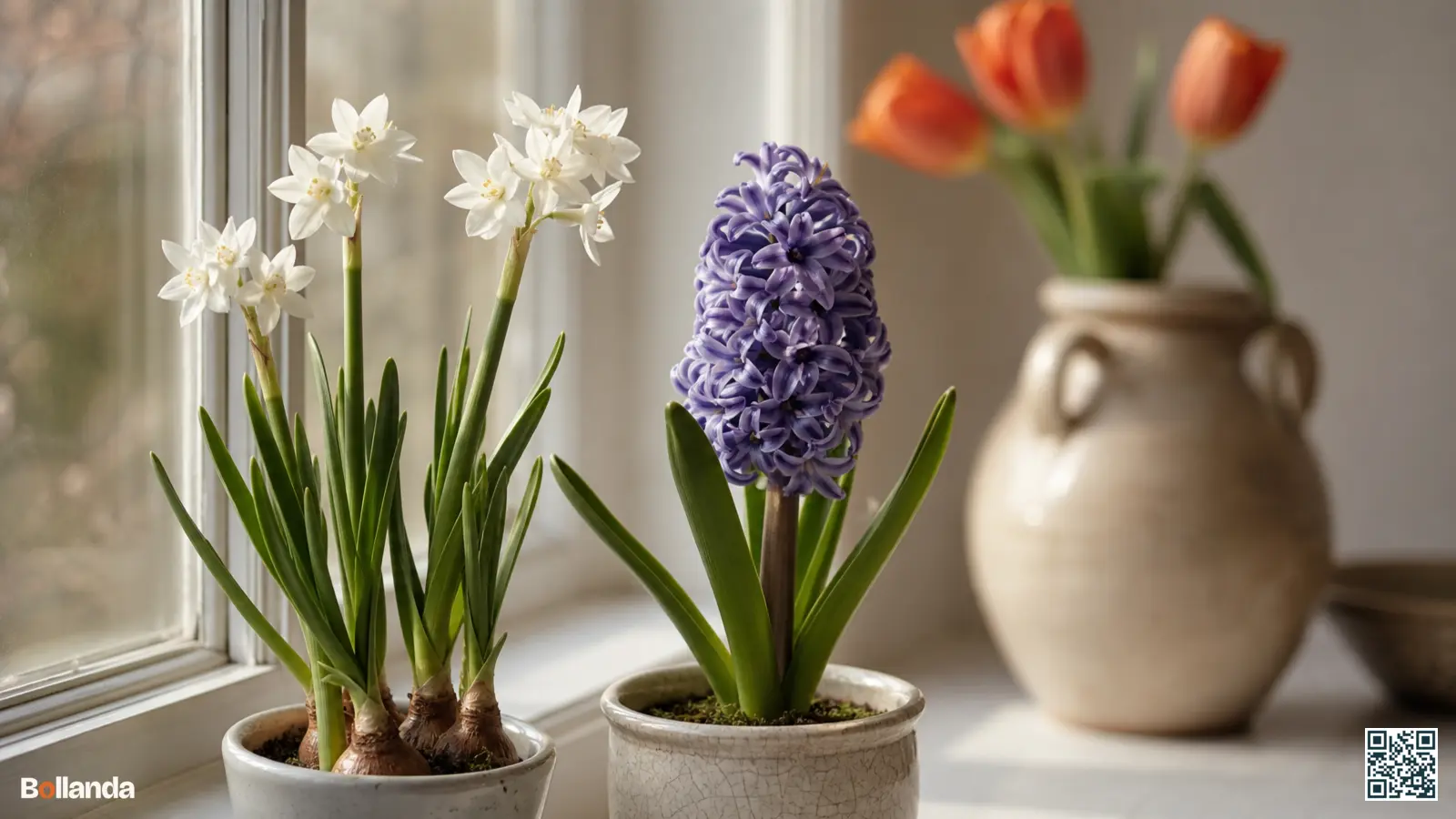 Bloeiende hyacint en paperwhite-narcis op een lichte vensterbank binnenshuis in een rustig huiselijk interieur.