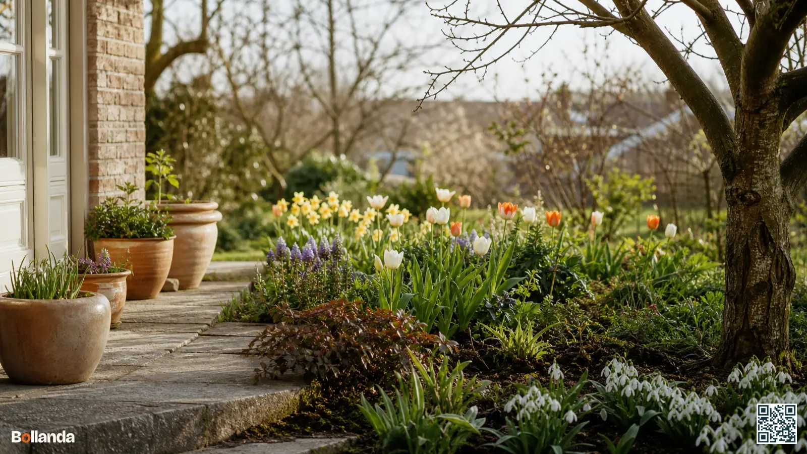 Nederlandse tuin in het voorjaar met bollen in border, terracotta potten op terras en sneeuwklokjes in schaduwhoek.