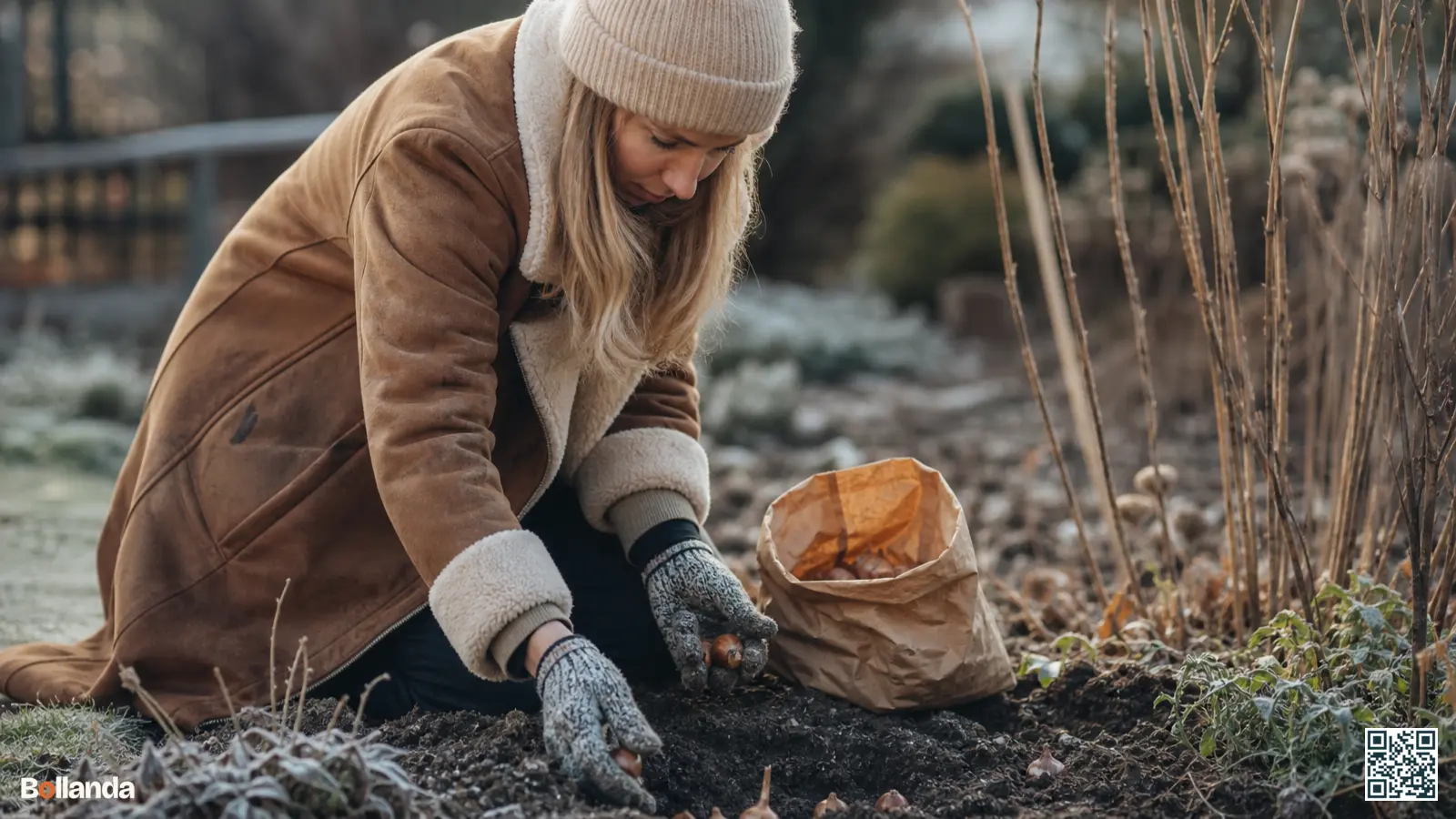 Tuinier plant vergeten bloembollen in koude winterse grond in een kale border zonder vorst.