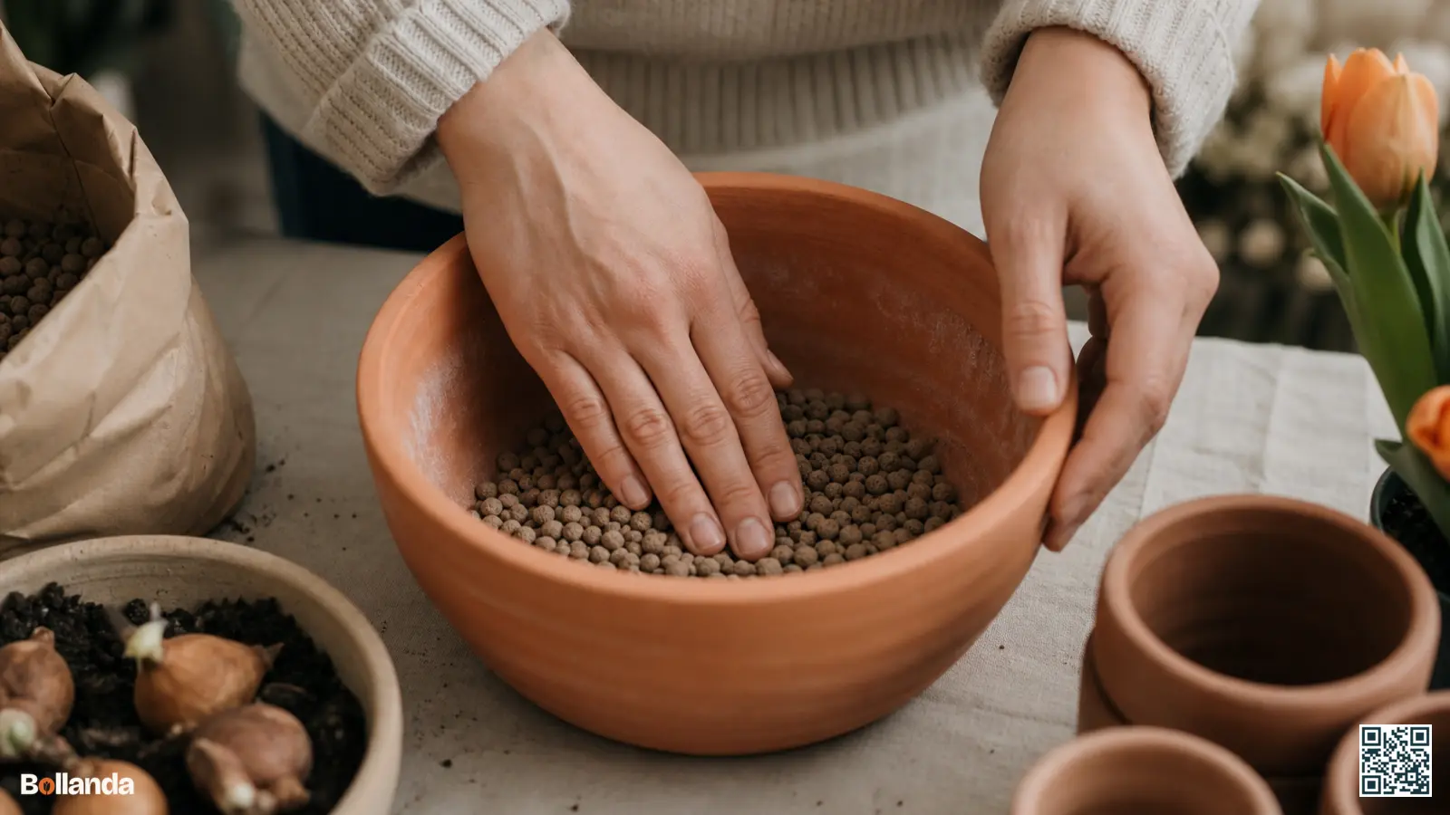 Onderin een terracotta pot wordt een drainagelaag van hydrokorrels aangebracht voordat de bollen worden geplant.